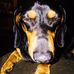 Profile Picture of Rose Vincent (@rose.vincent.5095110) on Facebook