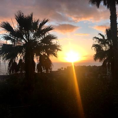 Profile Picture of Kate Weeks (@kwks80) on Twitter