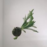 Profile Picture of Go Kakizaki | 柿崎 豪 (@kakizakigo) on Instagram