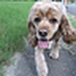 Profile Picture of Austin02 (@austin02) on Flickr