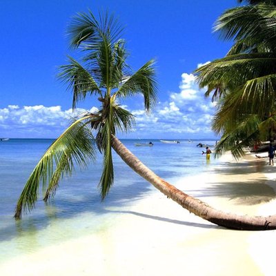 Profile Picture of Manuel Carro (@manolo_noticias) on Twitter