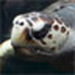 Profile Picture of ~~jerryd~ (@~~jerryd~) on Flickr