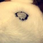 Profile Picture of Randy McGee (@theprotocol16748) on Instagram