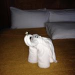 Profile Picture of Christopher (@killertibbs) on Instagram