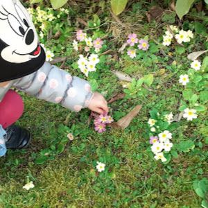 Profile Picture of Alice Fornaciari788 (@sofisax99) on Tiktok