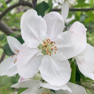 Profile Picture of Davod (@david1988TR) on Twitter