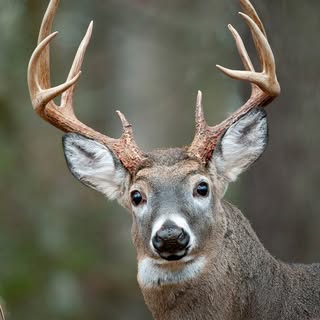 Profile Picture of John Cundiff (@johncundiff1) on Instagram