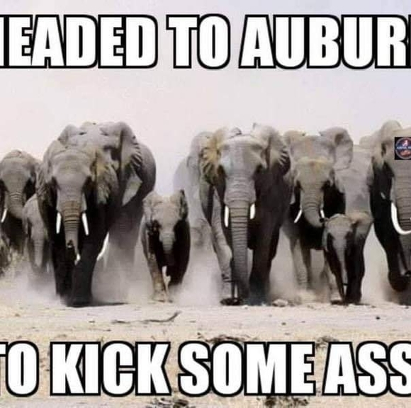 Profile Picture of Carlos Ligon (@carlosligon123) on Poshmark