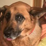 Profile Picture of Aaron Ring (@cutmeuplikeaknife) on Instagram