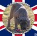 Profile Picture of James McWilliams (@james.mcwilliams.798) on Facebook