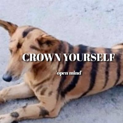 Profile Picture of Michael...G3rd (@seko_michael) on Twitter