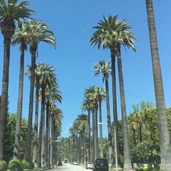 Profile Picture of Bridge Kasting (@bridgegoodvibes) on Poshmark