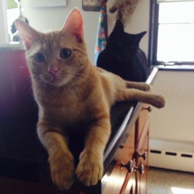 Profile Picture of Joe Gallagher (@Jgallagher623) on Twitter