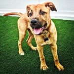 Wendall Wallace Ward - Instagram Profile Picture of Wendall Wallace Ward (@wendall_wallace_ward) on Instagram