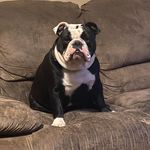Profile Picture of Kimberly Ledbetter Bogue (@kikibogue) on Instagram