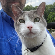 Profile Picture of Joe Miskovich (@joemiskovich5506) on Youtube