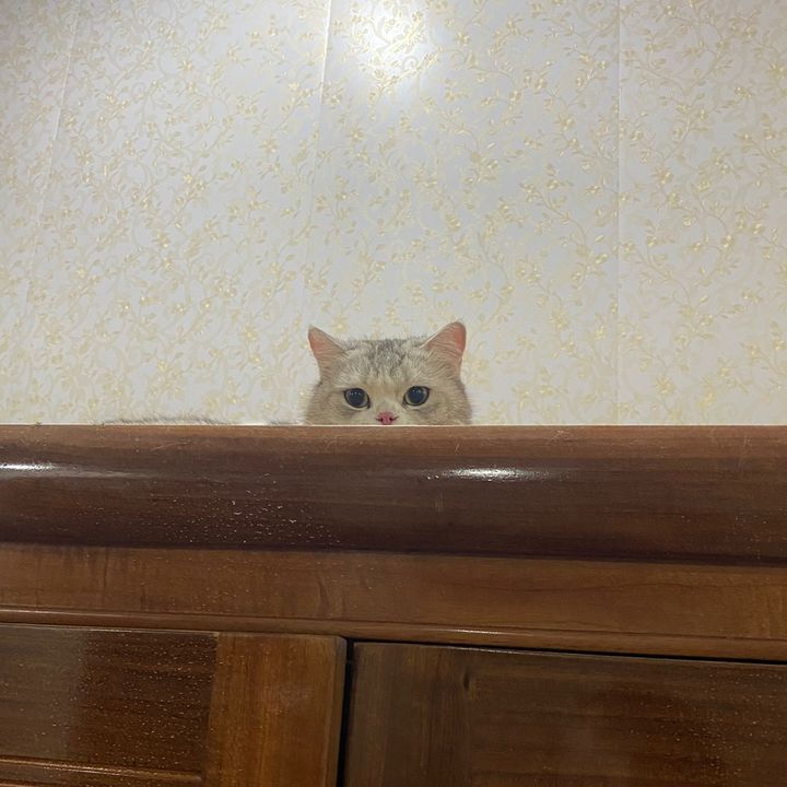 Profile Picture of Sam Béo (@sambeo20180) on Tiktok