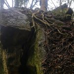 Profile Picture of David Mendelsohn (@david.mendelsohn) on Instagram