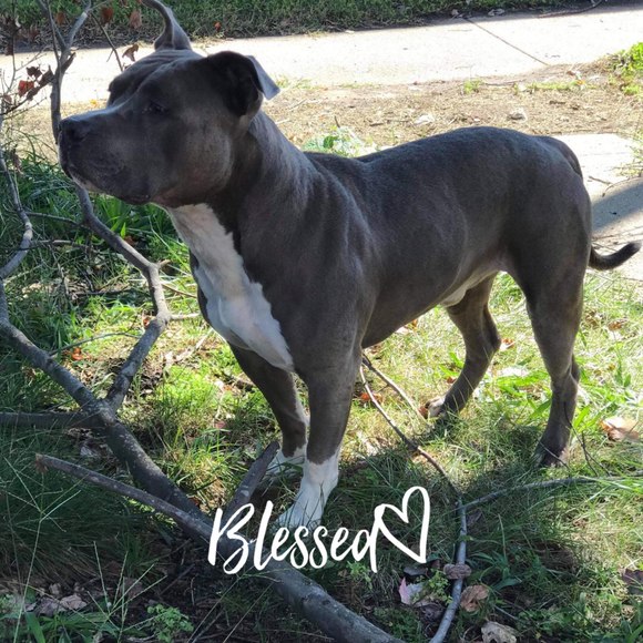 Profile Picture of Calvin Williams (@cjw6983) on Poshmark