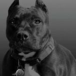 Profile Picture of Shawn Schoen (@shawn12772) on Instagram