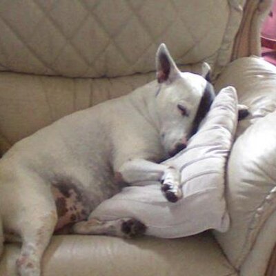 Profile Picture of Marlene James (@marlenejames8) on Twitter