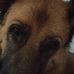 Profile Picture of Todd S. Wehner (@todd.s.wehner) on Facebook