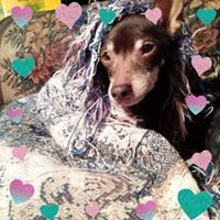 Profile Picture of Candy Melson (@candym0931) on Pinterest