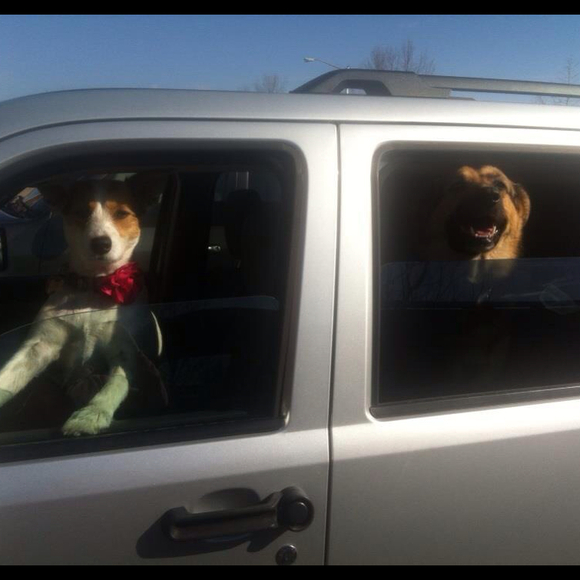 Profile Picture of Miranda Massey (@mmassey23) on Poshmark