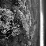 Frisken - Instagram Profile Picture of Frisken (@angelinatamark) on Instagram