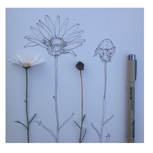 Profile Picture of Julia Tiano (@julia939) on Poshmark