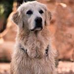 Profile Picture of David Pridmore (@r.david.pridmore) on Instagram