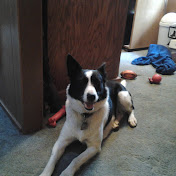 Profile Picture of Mike Reber (@mikereber1644) on Youtube