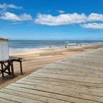 Profile Picture of Nancy Argondizzo (@nancyargondizzo) on Instagram