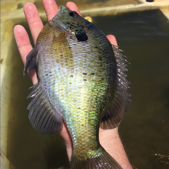 Profile Picture of Daniel Ford (@dtford11) on Poshmark