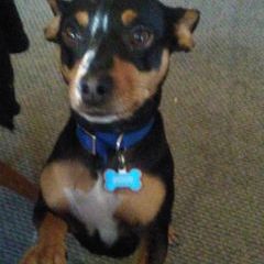 Profile Picture of markrakowski792 (@@markrakowski792) on Tiktok