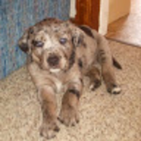 Samantha Frerer - Poshmark Profile Picture of Samantha Frerer (@samanthafrerer) on Poshmark