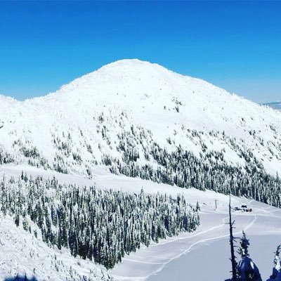 Profile Picture of Adrian (@AdrianLeung330) on Twitter