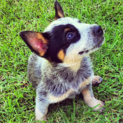 Profile Picture of Isaac Winters (@isaacwinters770) on Youtube