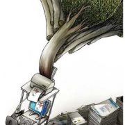 Profile Picture of Gabriela Rivera (@gmrivera02) on Pinterest