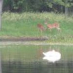 Profile Picture of Kyle Lilley (@kylelilley8) on Instagram