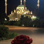 Profile Picture of Anna (@anna.halima) on Instagram