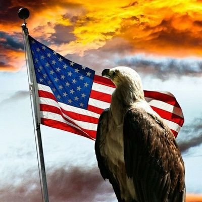 Profile Picture of 🇺🇸Dan🇺🇸 #KAG (@DanAndr66) on Twitter