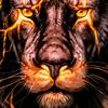 Profile Picture of Corey Brock (@@coreybrock1) on Tiktok