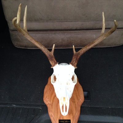 Profile Picture of Vincent LaManna (@VinceLaManna) on Twitter