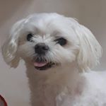 Profile Picture of 김삼삼 (@l_33_love) on Instagram