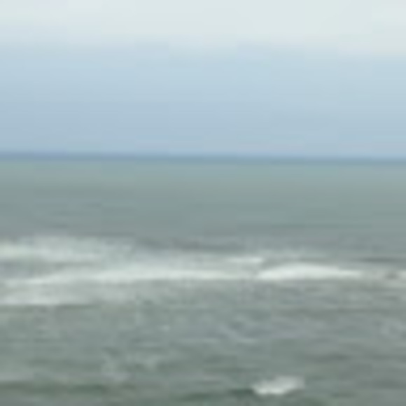 Nolan Phillips - Poshmark Profile Picture of Nolan Phillips (@uncagedmelody) on Poshmark