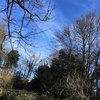 Profile Picture of Adam McIntosh (@@amcintosh5) on Tiktok