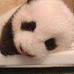 Profile Picture of Yeh Chang (YehChang) (@chang.yeh.7) on Facebook