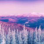 Profile Picture of Michael Waldner (@michael__waldner) on Instagram