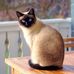 Profile Picture of Frederick Wilcox (@frederick.wilcox.12) on Facebook